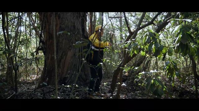 Street Fenix - Hojas Boombap