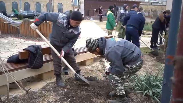 Сотрудниками Дербентского музея-заповедника была проведена экологическая акция «Посади свое дерево» смотреть онлайн