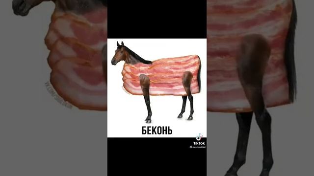 мем # прикол # интернет смотреть онлайн