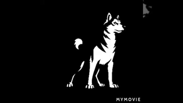 Плюсы и минусы сибирских хаски смотреть онлайн