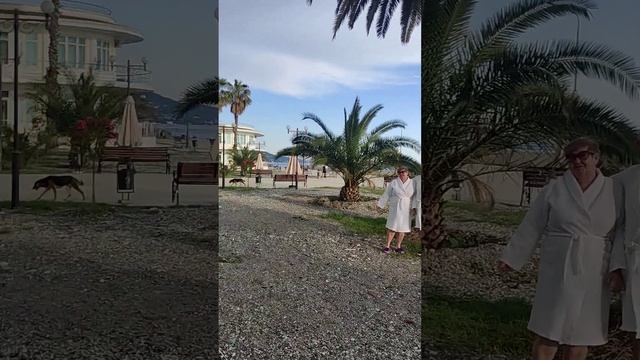 О море в Гаграх,о пальмы в Гаграх смотреть онлайн