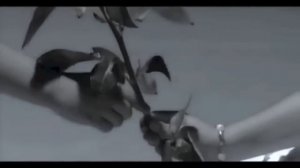 Shahzoda - To'kilib | Шахзода - Тукилиб