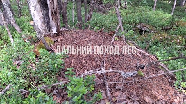 Моменты моей жизни за 2024 г