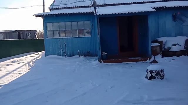 Деревенское утро, день. смотреть онлайн