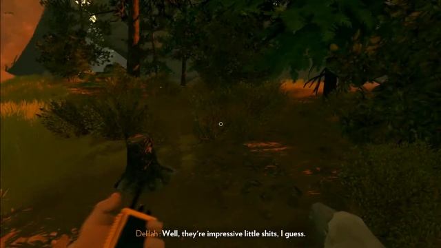 THOSE DAMN DRUNK TEENAGERS 😡 | Firewatch (PC) | Episode 05 смотреть онлайн