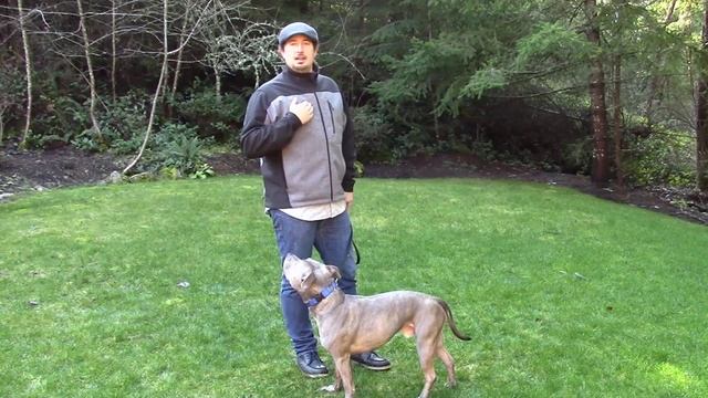 Controlling Prey Drive смотреть онлайн