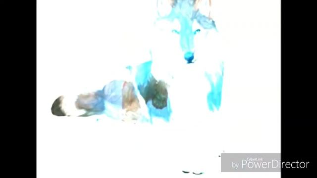 Anime Wolves: Blood // Water смотреть онлайн