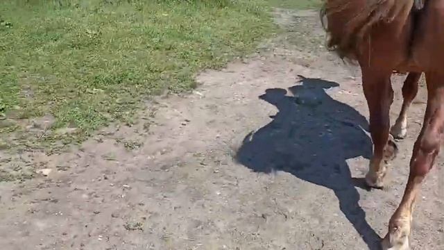 Наконец поехали. смотреть онлайн