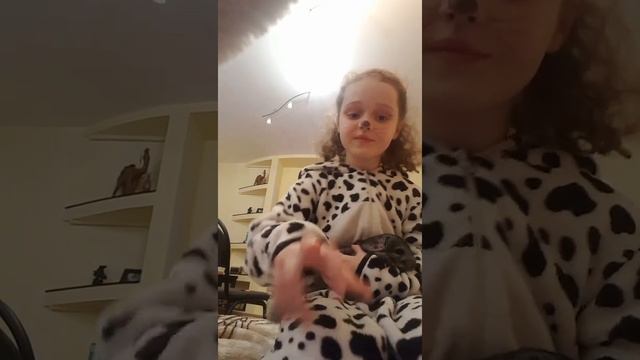 Урок по уходу за шиншиллой😊❤ #люблюживотных #домашниеживотные #шиншилла