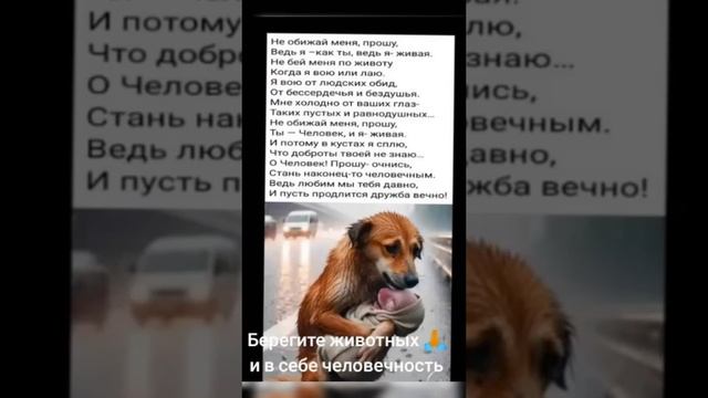 БЕРЕГИТЕ ЖИВОТНЫХ И В СЕБЕ ЧЕЛОВЕЧНОСТЬ !!! ПОСТАВЬ ЛАЙК И ПОДПИШИСЬ !!! смотреть онлайн