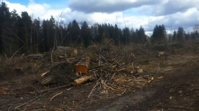 Идилия смотреть онлайн