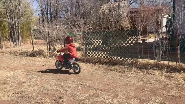 Honda CRF50 and CRF70 - beginner obstacle course смотреть онлайн