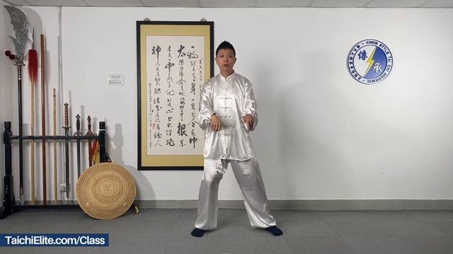 陳氏太極拳 - 忽雷架柔架 - 第七式 白鵝亮翅 [ 周展程師傅 ] смотреть онлайн