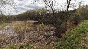 РАЗДАЧА НА МИКРОДЖИГ! Рыбалка весной на СПИННИНГ! Ловля Щуки на болоте!