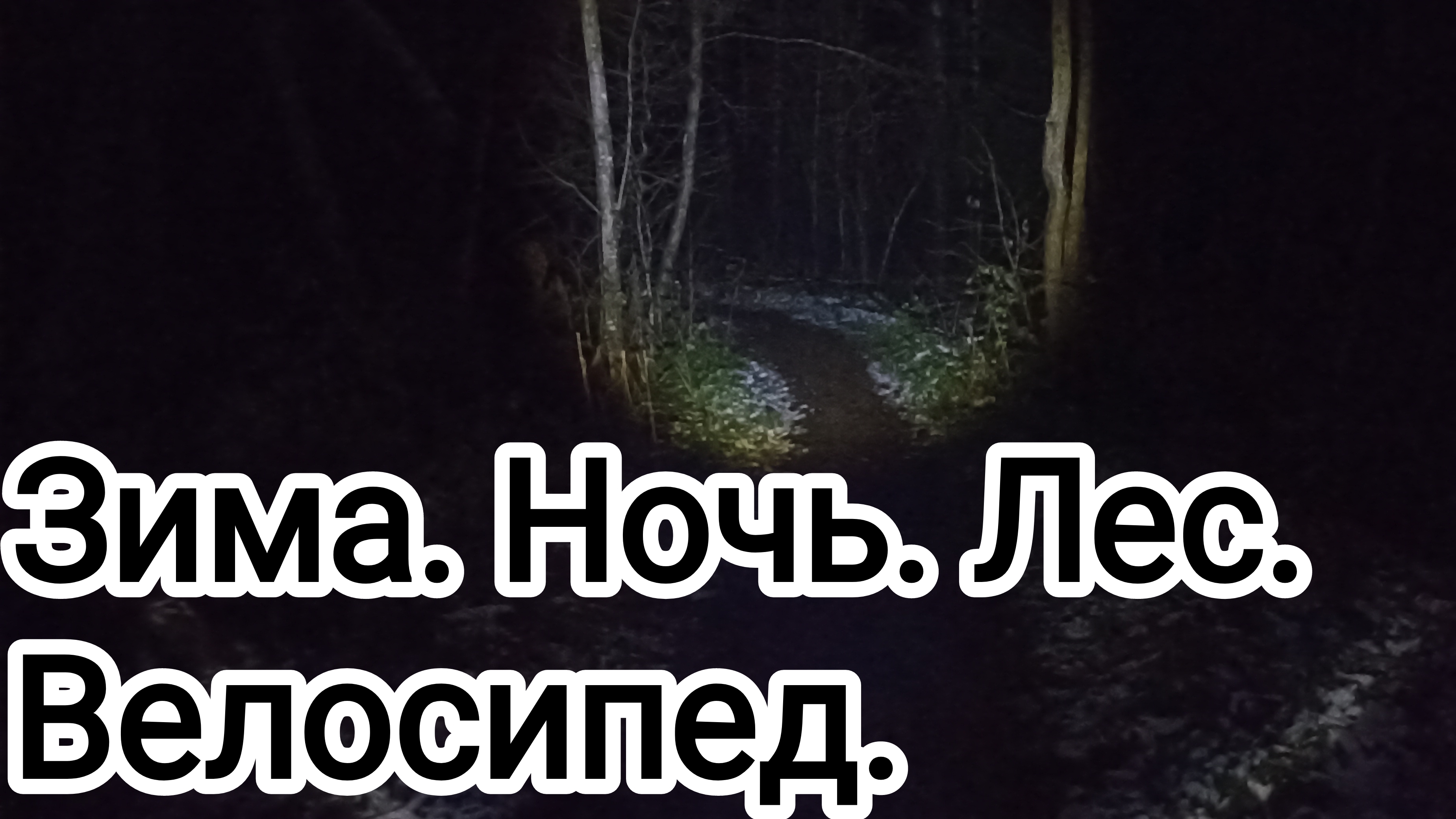 Зима. Ночь. Лес. Велосипед.