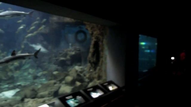 Beach Land Japan! смотреть онлайн