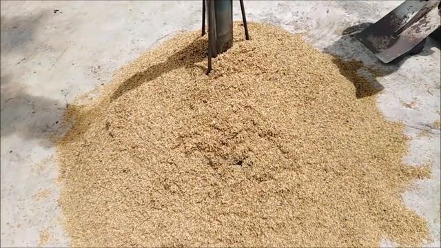 Cara Bakar Sekam Padi Guna Serombong Pembakar Buat Sendiri смотреть онлайн