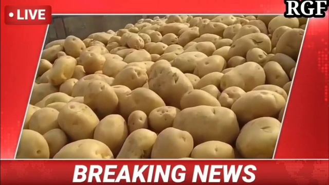 23 अप्रैल 2024 || आज का आलू का भाव कानपुर मंडी || चकरपुर आलू मंडी कानपुर || Kanpur Mandi Potato Rat смотреть онлайн