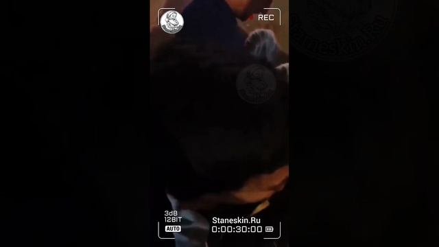 Операция «Тишина»🤗🇧🇷.mp4 смотреть онлайн