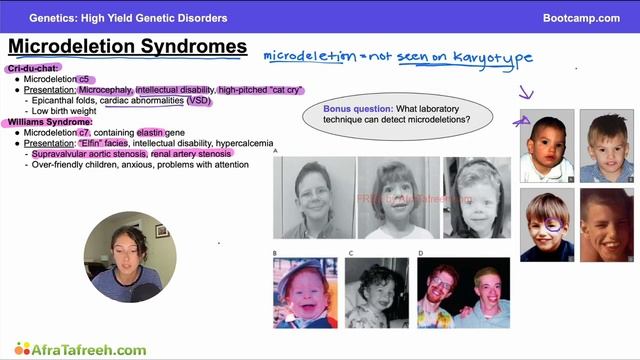 High Yield Genetic Disorders-4. Microdeletions atf смотреть онлайн
