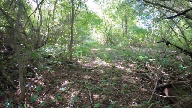 Маленькая заброшенная деревня Владимирской области