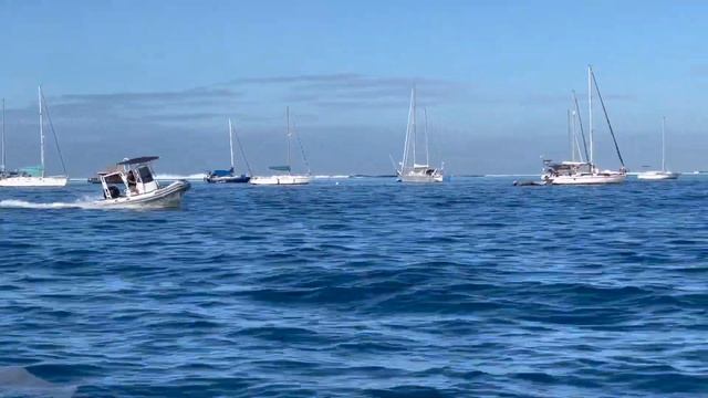 Patrol 600 avec moteur Mercury Seapro 115 CV смотреть онлайн