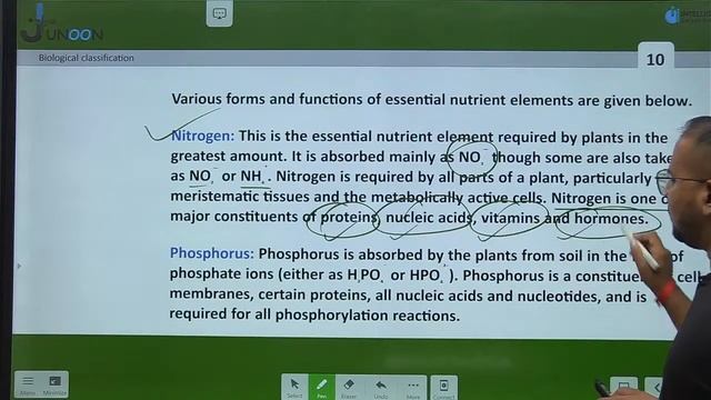 Transport in Plants, Mineral Nutrition & Photosynthesis |Marathon |Dr haider sir| Junoon Batch 202 смотреть онлайн