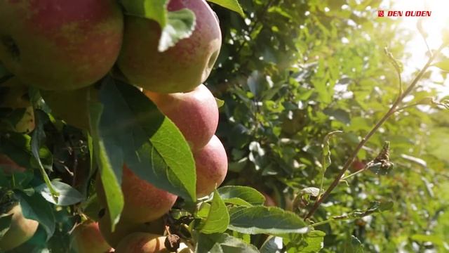 De kringloop van Biomassa & Bodemverbeteraars | Educatief смотреть онлайн