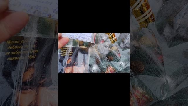 На могиле Ю. В. Шатунова смотреть онлайн