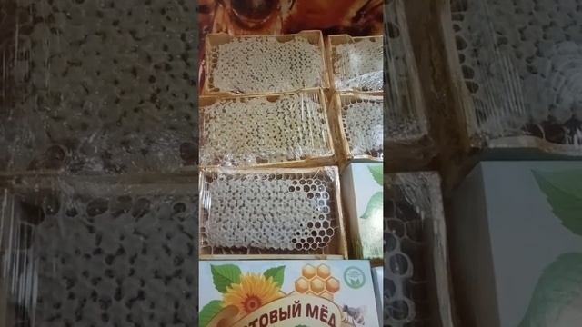 Сотовый мёд пасека Леденёвых Новосибирская область смотреть онлайн