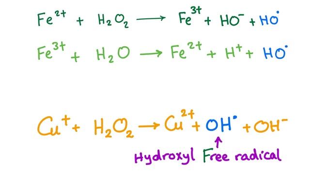 Fenton Reaction With A Mnemonic - Free Radicals - Reactive Oxygen Species (ROS) - Pathology