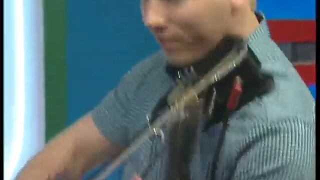 Maestro DOMINIQUE в эфире ИК Просто тк Домашний 15.05.2015 смотреть онлайн