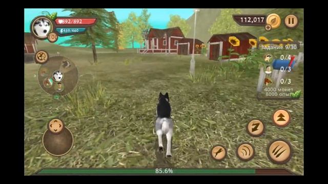 как быстро заработать золото и уровень в  дог сим Dog Sim