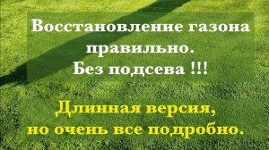 Восстановление газона правильно, без подсева.