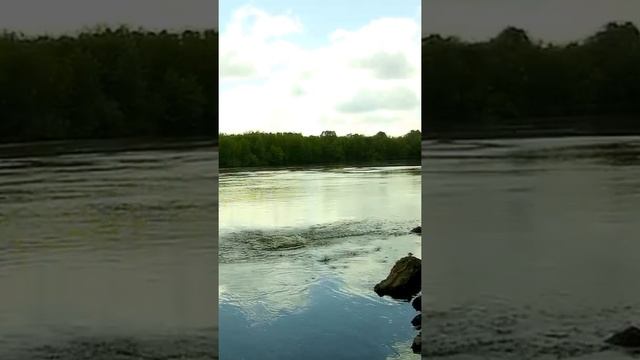 СУПЕР ПОКЛЁВКА ЖЕРЕХА \ #рыбалка #ловляжереха #жерех