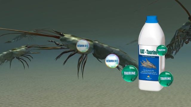 KAT TAURINE - Tăng cường chức năng gan tụy cho tôm | VEMEDIM смотреть онлайн