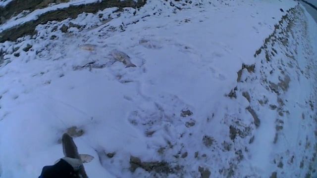 вело вартовск зимой и летом смотреть онлайн