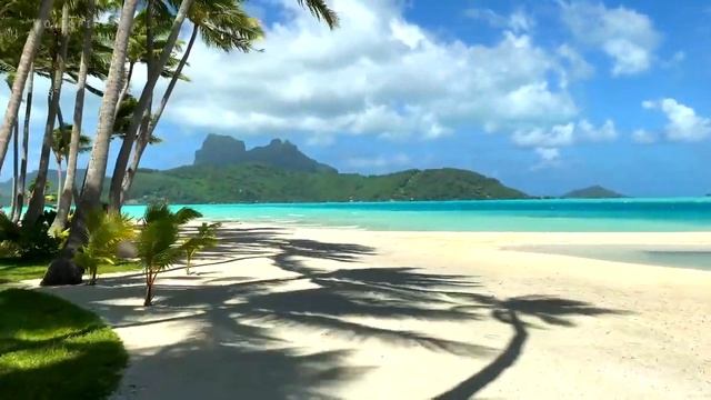 Private Island 🏝 Tour Tropical Beach Motu Tane Bora Bora, French Polynesia 🇵🇫 4K Ultra HD Travel