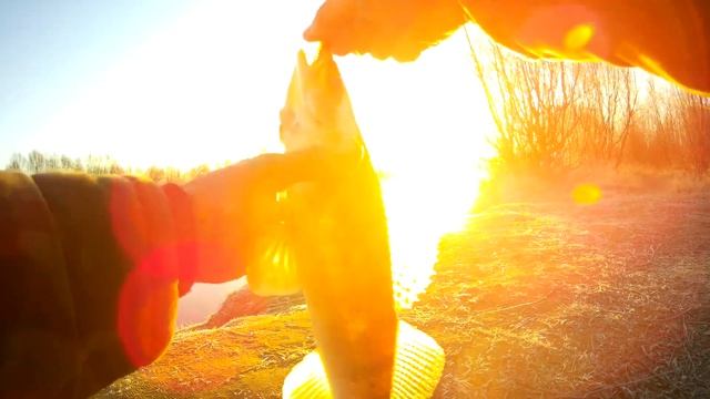 ЛОВЛЯ СУДАКА В КОНЦЕ МАРТА \ #Рыбалка #ЛовляСудака #СадакВмарте