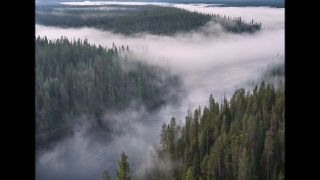 За туманом (Ю. Кукин cover) смотреть онлайн