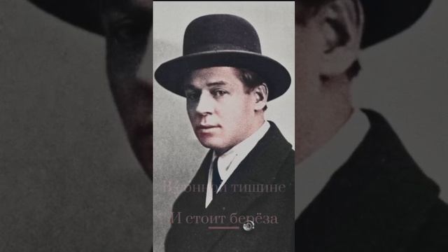 ЕСЕНИН С.А. - БЕРЁЗА ♡ https://t.me/animadom смотреть онлайн