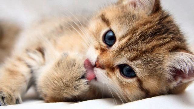 Слушать новинки музыки онлайн. Реальный хит! Я тащусь! смотреть онлайн