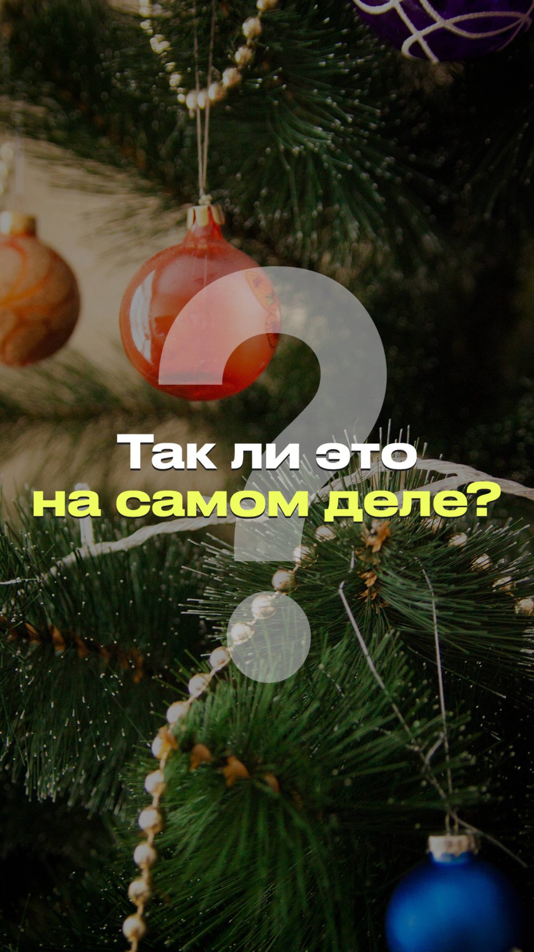 ОТКУДА ВЗЯЛАСЬ ТРАДИЦИЯ НАРЯЖАТЬ ЕЛКУ? | Разбор теории #новости #факты #мифы смотреть онлайн