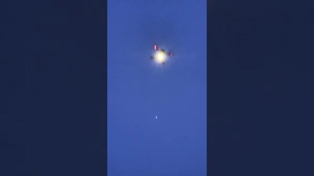 Поймал голыми руками птицу, но не удержал, вырвалось и улетела на свободу смотреть онлайн