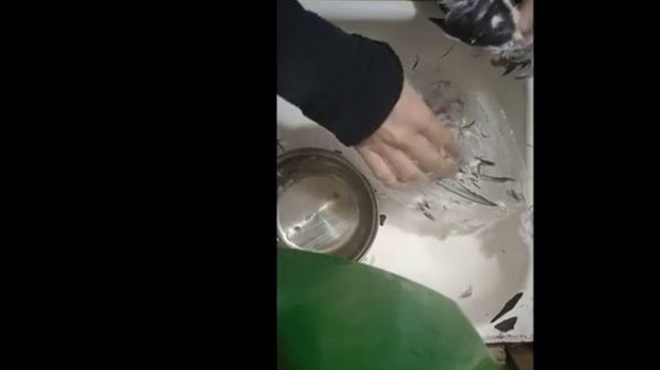 Мясо крачки   
Zoouri5