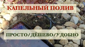 Капельный полив, автополив.