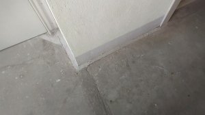 говорящие лифты щлз 2015