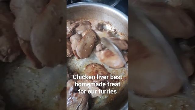 Chicken liver without salt #catlife #cutepet #homemade #treats #kittytreat #catlover #catfood #cat смотреть онлайн