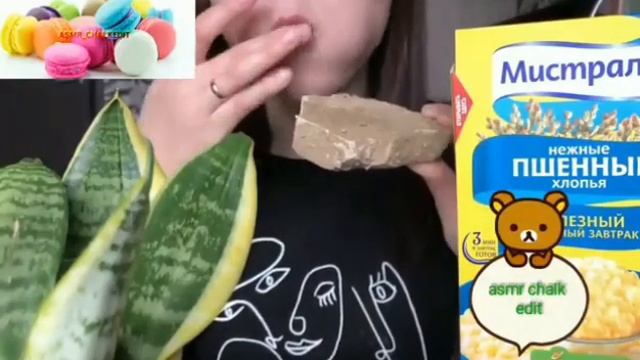 🍩Хрустящая печенька из мела покрыта крошкой из глины🍩cr:@shelkmelk 🍩#chalk  #asmr #crunchy