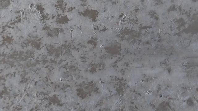 плавает без воды смотреть онлайн